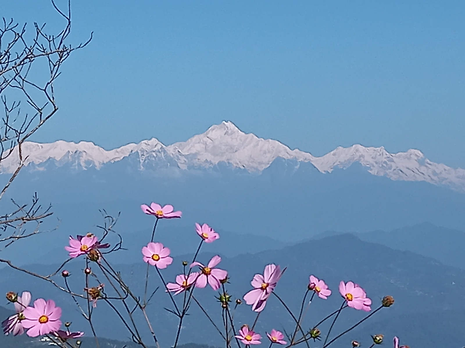 Kanchenjunga peak view