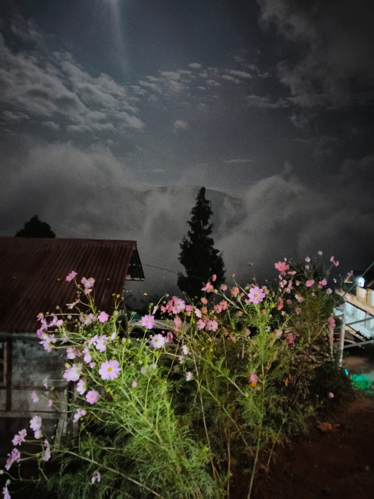Homestay at dusk with garden flowers